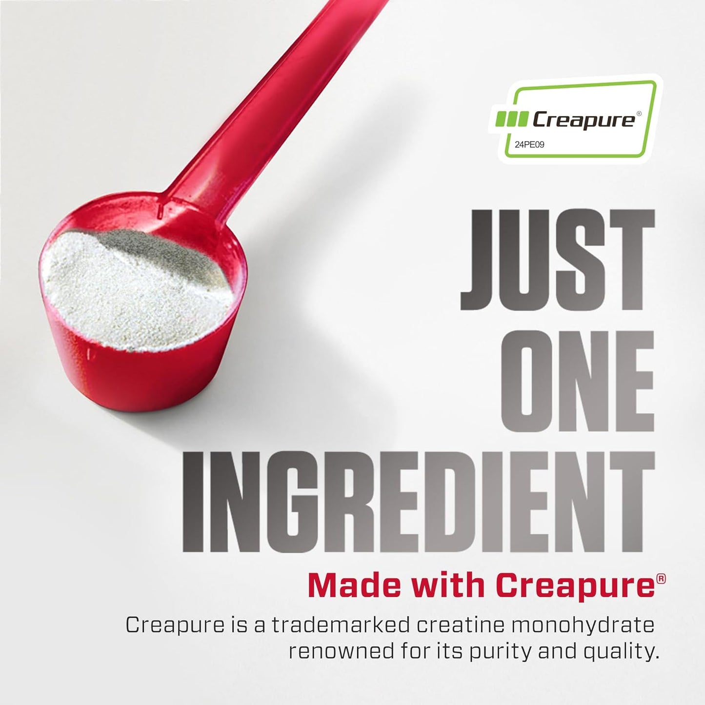 Creatina Monohidratada Dymatize 300G 60 Servicios