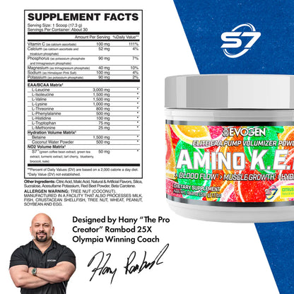 Amino K.E.M. EAA 30 Servicios